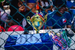 Championship-Trophy-Display